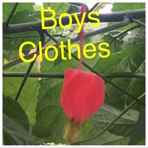 Boys Clothes